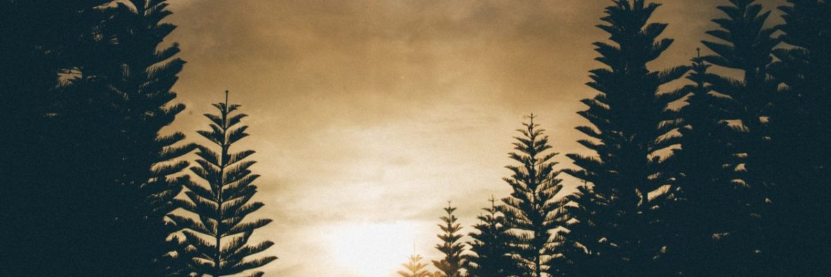 A sun pokes&nbsp;through