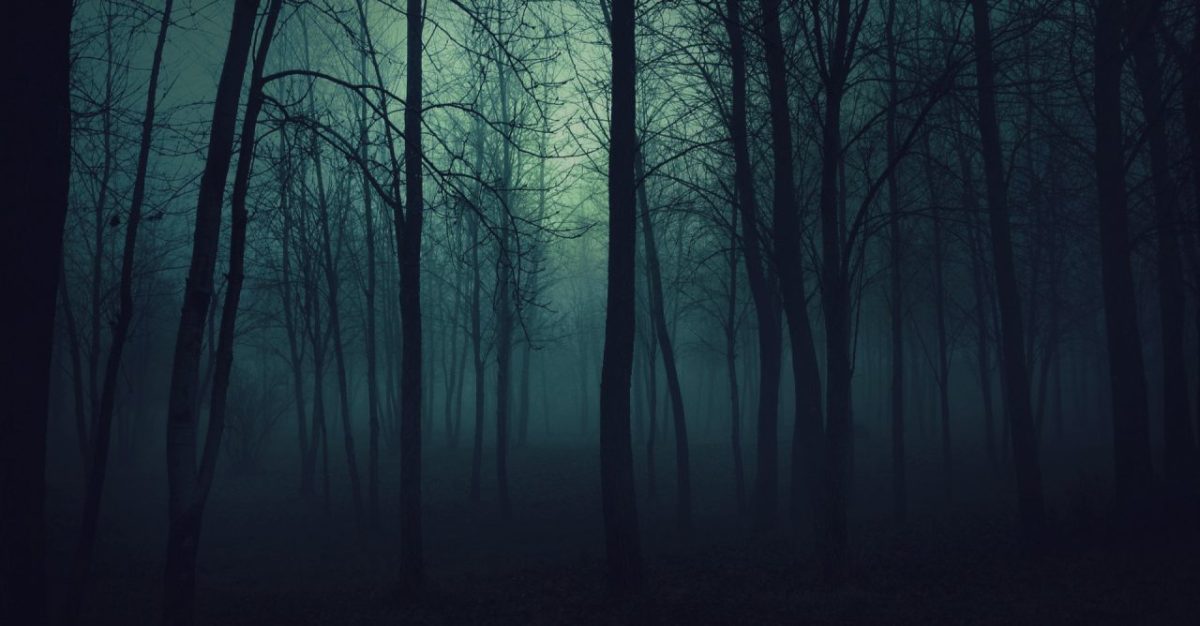 Hard to describe&nbsp;dream