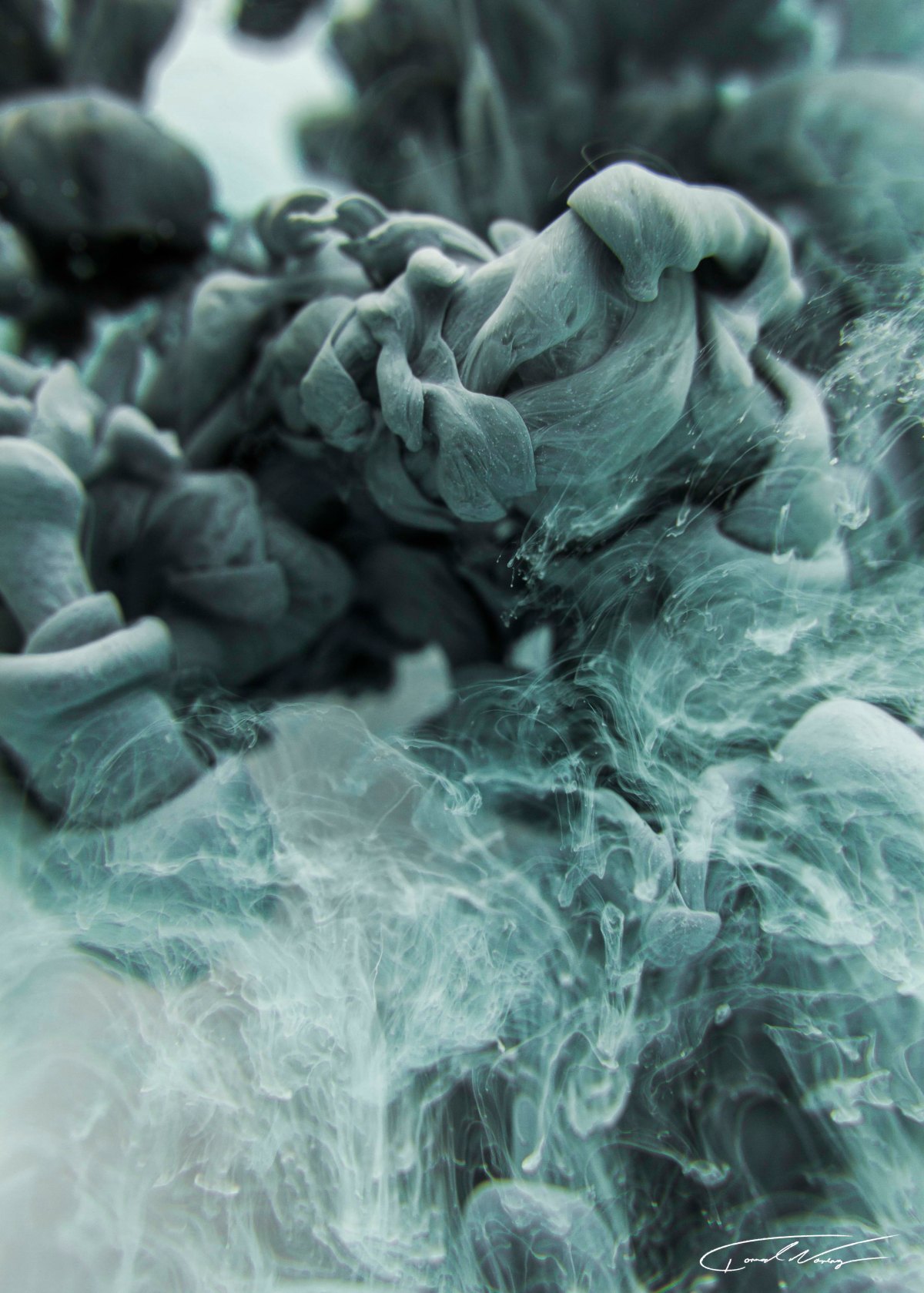 SCIENCE AND RELIGION