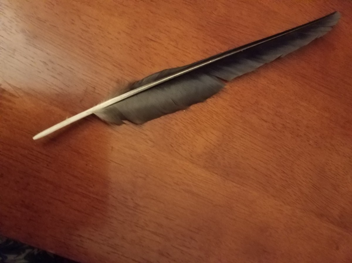 Always be working towards&nbsp;transmutation