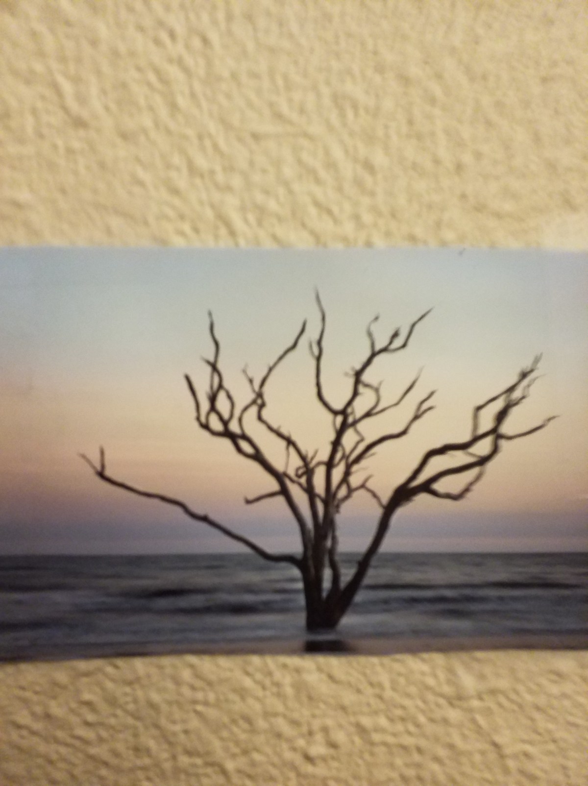 Effing idiocy of&nbsp;self