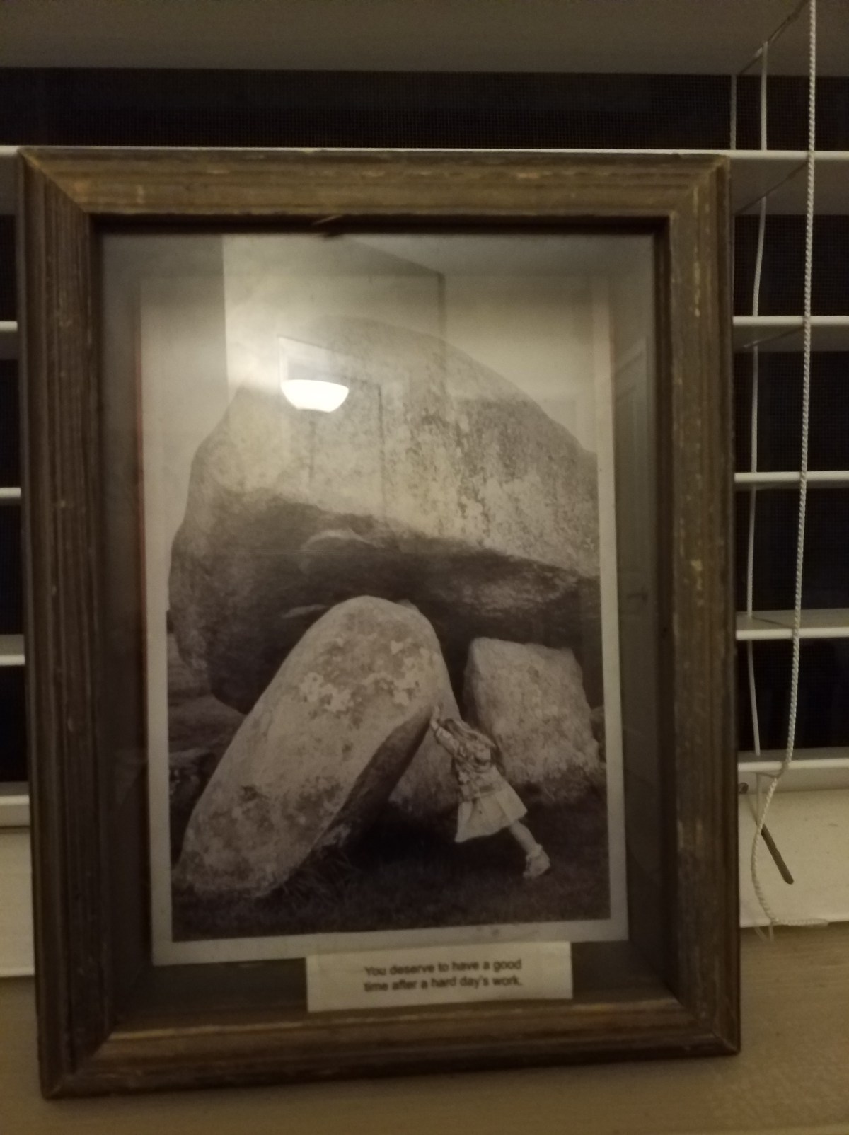 The girl who&nbsp;dogged…