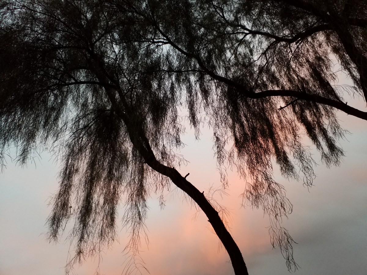 I see none involving&nbsp;nengk.