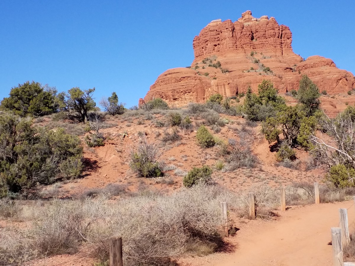 I Tense My&nbsp;Neck