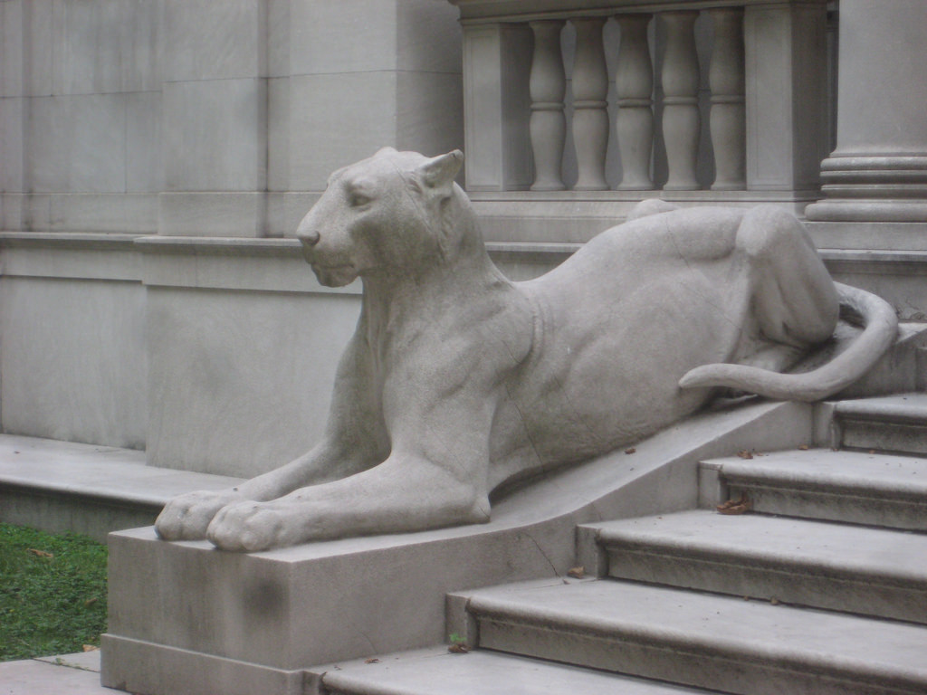 To call a stone&nbsp;panther.