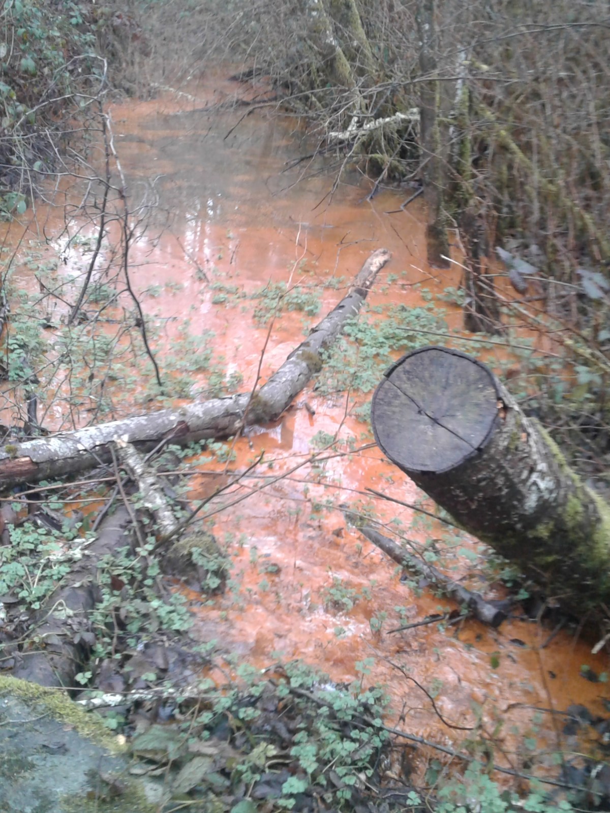 Once around the&nbsp;Block