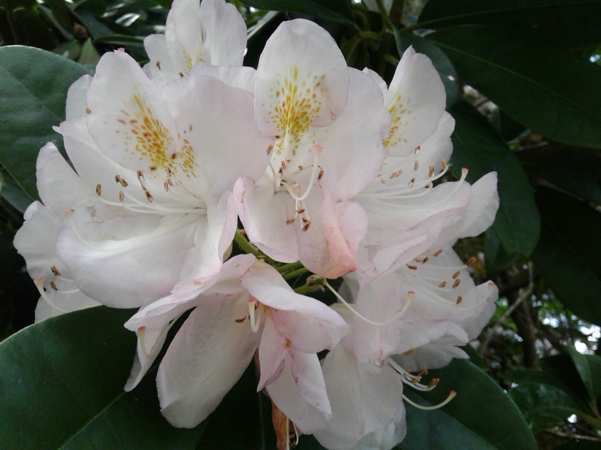 Shower riffs and&nbsp;drips