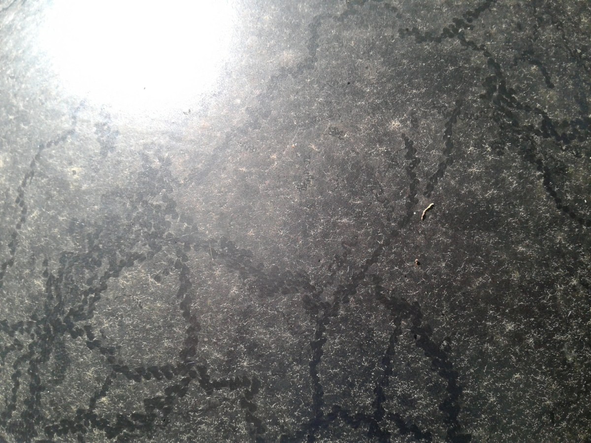 Guess what this&nbsp;is?