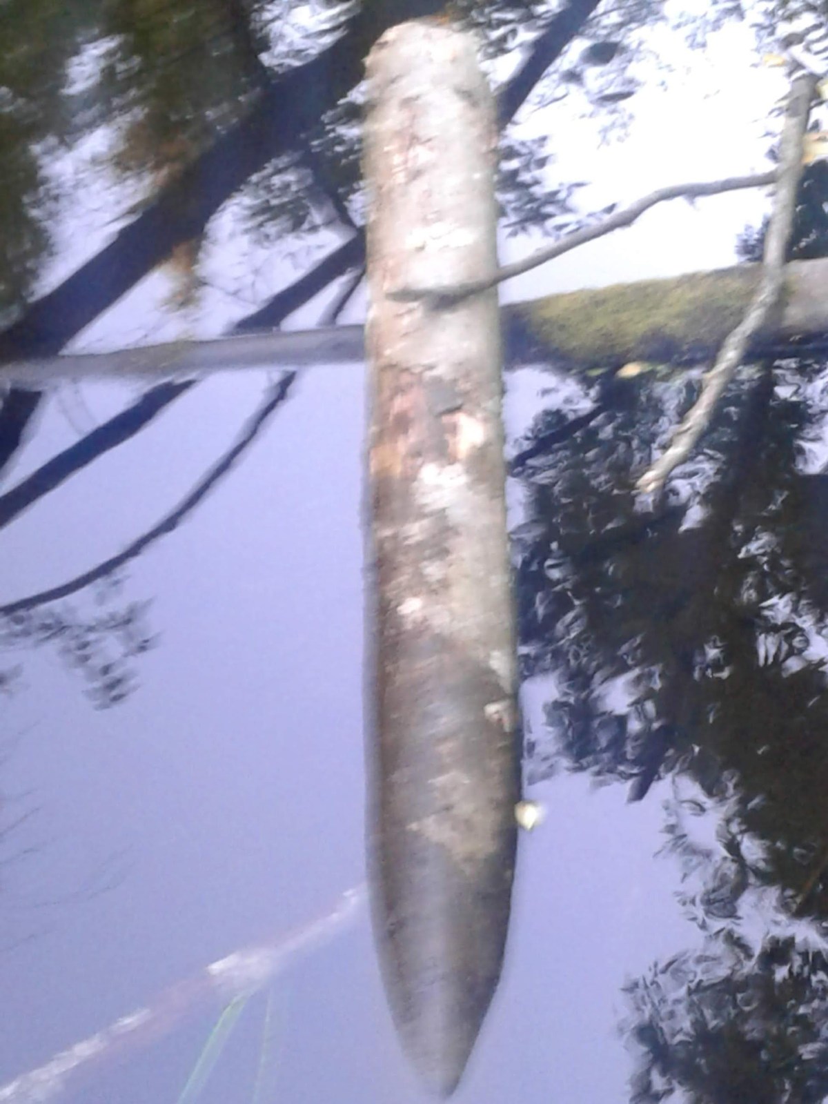 A Sign of, The southern&nbsp;cross