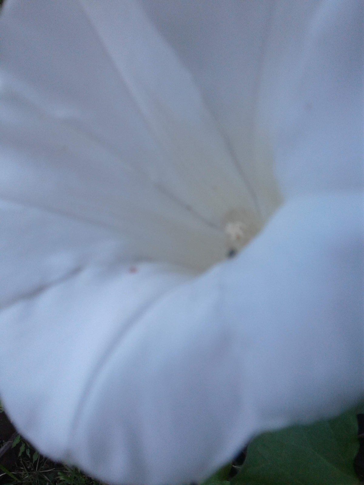 Parçigal from between time or&nbsp;Circumstance