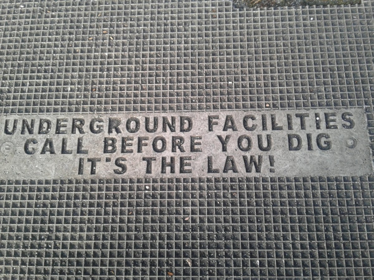 scratching itching papyrus