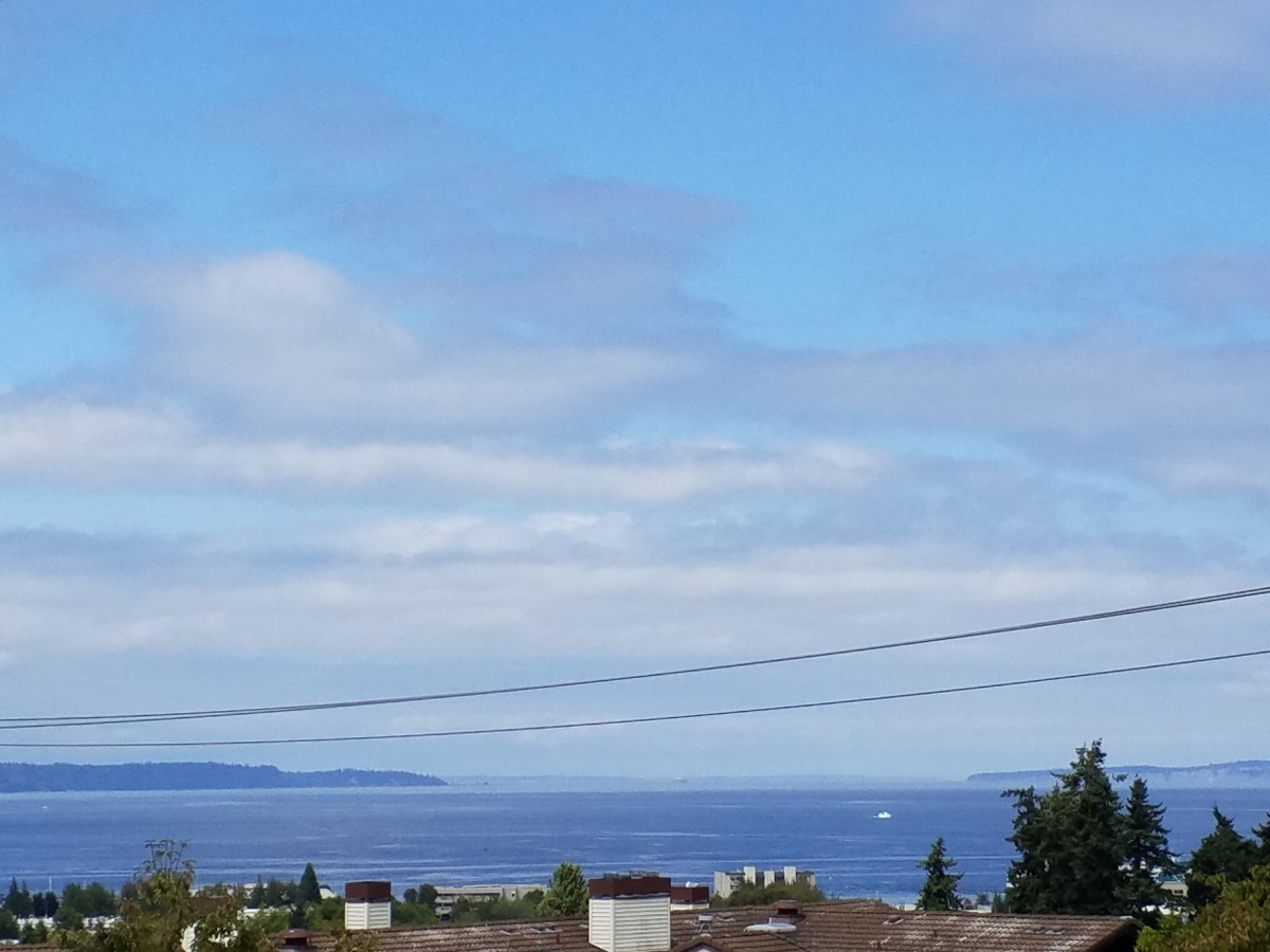 A Watery Whale&nbsp;Wail