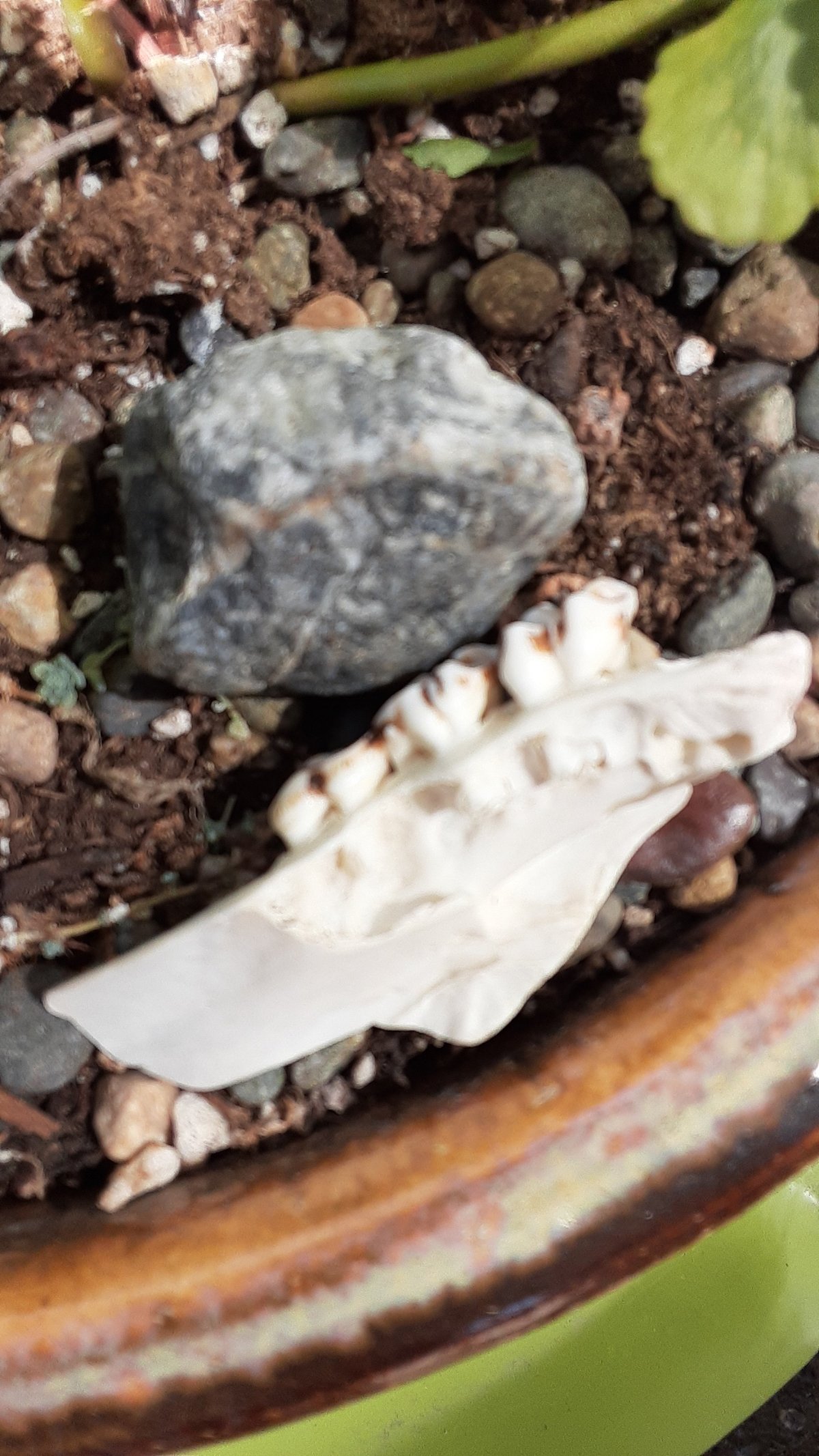 do not post&nbsp;this