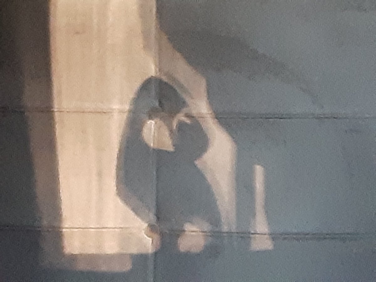 A talented rearranger.